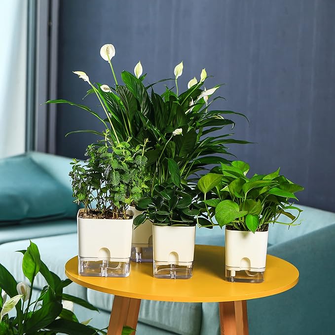 Planterhoma Self Watering Plant Pots for Indoor Plants 4.3 inch, 6 Packs Square Self-Watering Planters with Drainage Hole, White African Violet Pots for Devil's Ivy, Spider Plant, Orchid, Herb - Bloomnest