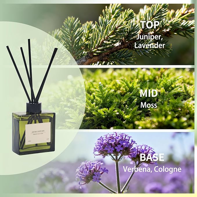 Reed Diffuser, 4 oz French Juniper Lavender Scent Diffuser with 10 Sticks, 90 Days Long Lasting Reed diffusers for Home, Elegant Fragrance for Bathroom Bedroom Office Decor, Air Fresh - Bloomnest