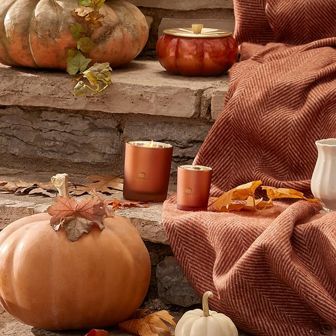 Thymes Scented Candles for Home Decor - Luxury Home Fragrance Gifts for Women & Men - Fall Candles with Creamy Pumpkin, Nutmeg, & Cinnamon - Burnt Orange (Pumpkin Laurel, 6.5 oz) - Bloomnest