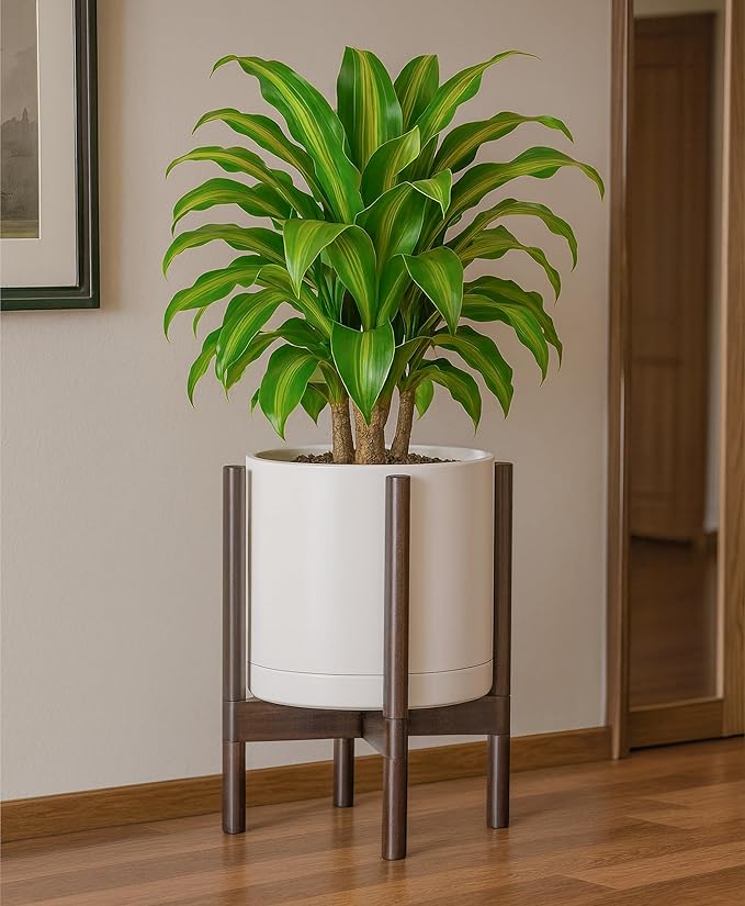 D'vine Dev Ceramic Planter with Walnut Color Stand - 12 Inch Modern Round Flower Pot with Wood Planter Holder, Oatmeal, 55-B-W-8 - Bloomnest