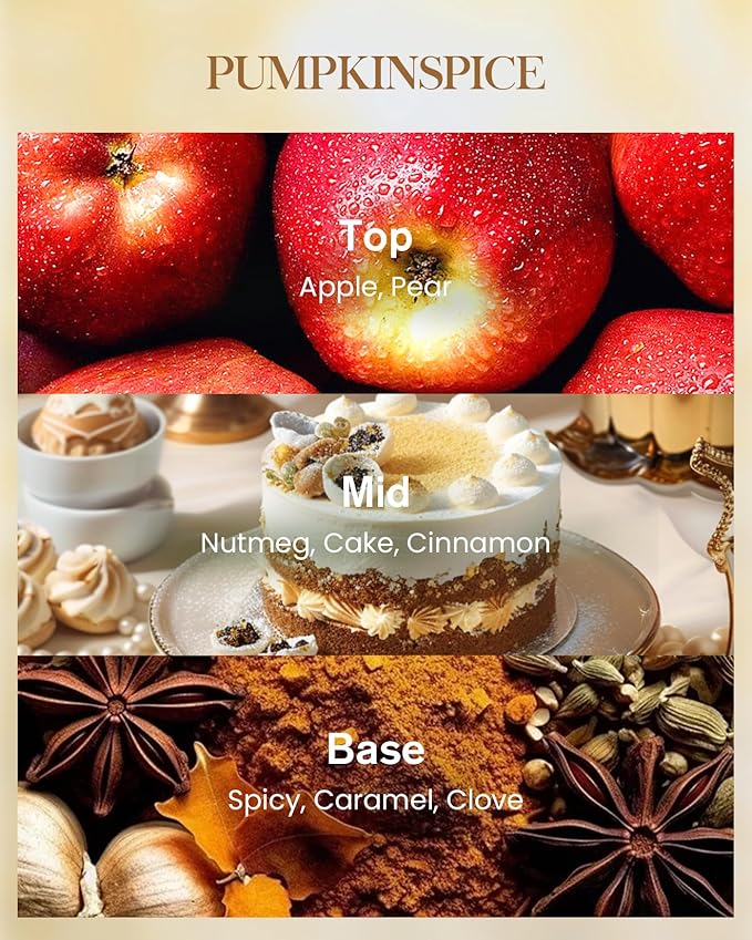 M&SENSE Pumpkin Spice Scented Candle, Soy Candles 14.1oz 60H Burn Time Slow Burning, Fall Winter Scent Unique Halloween Thanksgiving Gifts Home Decor - Bloomnest