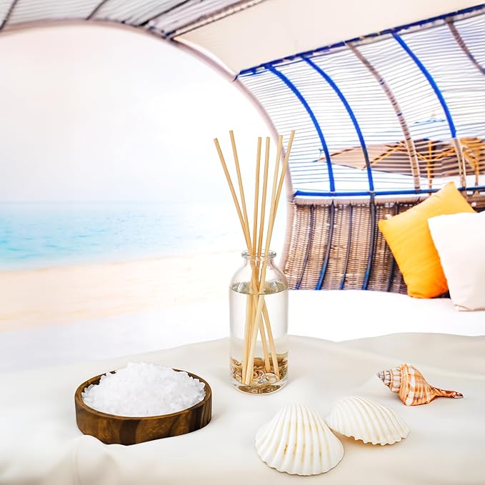 Urban Naturals Ocean Mist & Sea Salt Reed Diffuser Set | Made with Essential Oils & Real Seashells | Decorative Air Freshener Room Diffuser