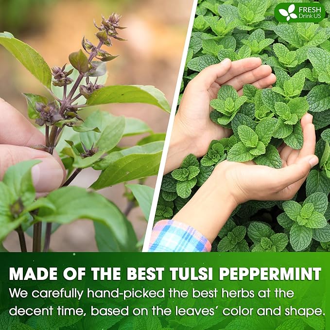 FreshDrinkUS, Premium Tulsi Peppermint Herbal Tea – 135 Tea Bags, 100% Natural, Blend of Tulsi Holy Basil Leaves, and Peppermint Leaves. Made with Natural Material Tea Bags. No Sugar, Vegan. - Bloomnest