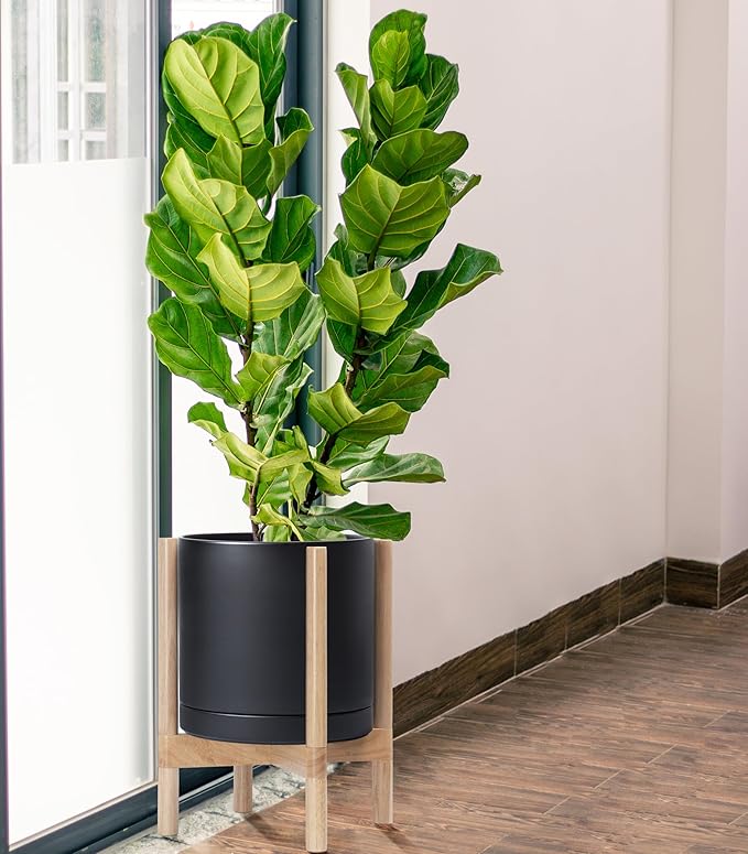 D'vine Dev Ceramic Planter with Natural Stand - 12 Inch Modern Round Flower Pot with Wood Planter Holder, Black, 55-B-J-2 - Bloomnest
