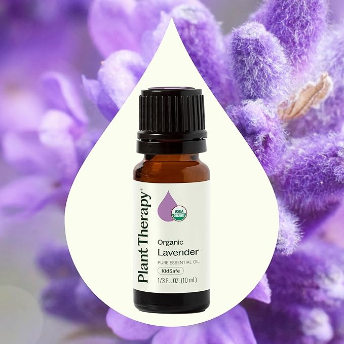 Plant Therapy Organic Lavender Essential Oil 100% Pure, USDA Certified Organic, Undiluted, Natural Aromatherapy, Therapeutic Grade 10 mL (1/3 oz) - Bloomnest