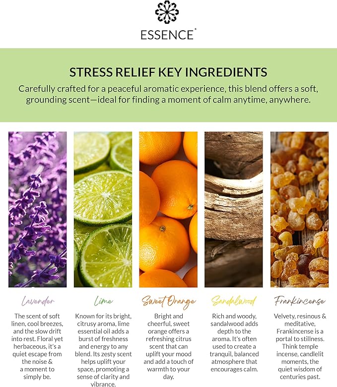 Essence Wearable Aromatherapy Nasal Diffuser – Stress Relief Essential Oil Nose Ring Refresh Kit – Personal Scent Clip for Travel, Work & Everyday Use – Made in USA - Bloomnest