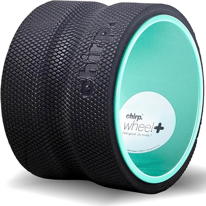 Chirp Wheel Foam Roller – Targeted Back & Neck Relief, Lumbar Spine Stretcher, Spinal Decompression Back Stretcher, Massage Roller with Density Foam for Physical Therapy, Supports 500lbs, 6-Inch Mint - Bloomnest