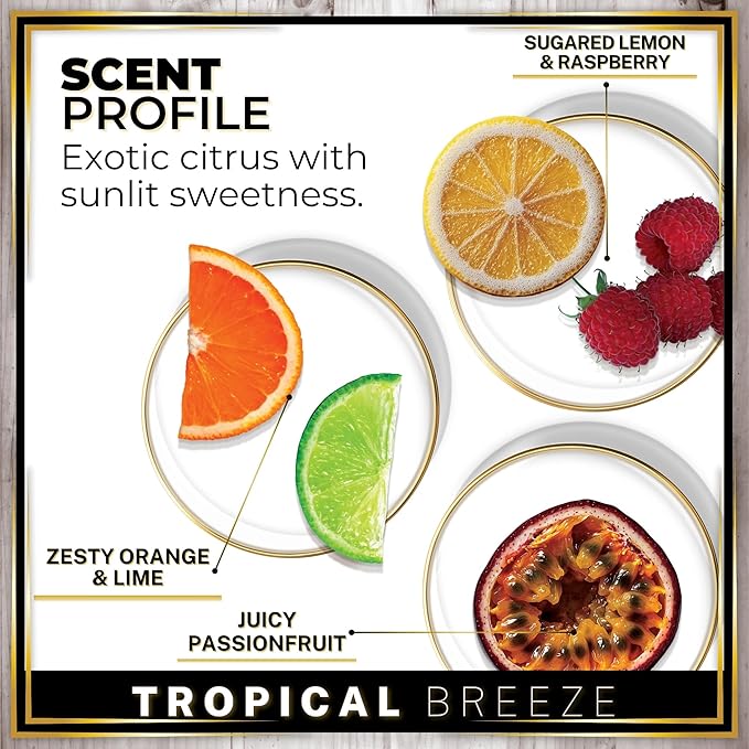 Urban Naturals Car Air Freshener Diffuser 3 Pack - Tropical Breeze Scent, 45+ Days Long Lasting Fragrance, Made in USA, Glass & Wood, Hanging Design + Vent Cip, Easy to Use - Bloomnest