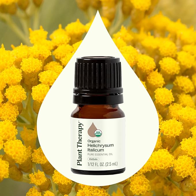 Plant Therapy Organic Helichrysum Italicum Essential Oil for Skin 100% Pure, USDA Certified Organic, Undiluted, Natural Aromatherapy for Diffusion, Therapeutic Grade 2.5 mL (1/12 oz) - Bloomnest