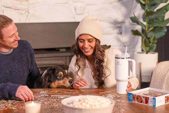 STANLEY Quencher H2.0 Tumbler with Handle and Straw 40 oz | Flowstate 3-Position Lid | Cup Holder Compatible for Travel | Insulated Stainless Steel Cup | BPA-Free | Frost