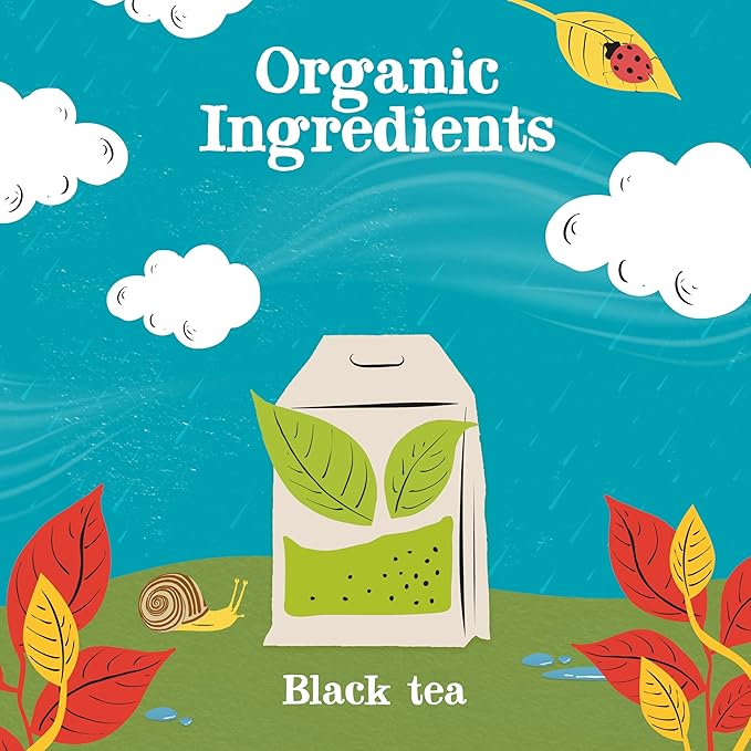 Clipper Tea, English Breakfast, Fairtrade, Organic, Plant-Based, Caffeinated British Tea, 6 Pack, 120 Unbleached Tea Bags - Bloomnest