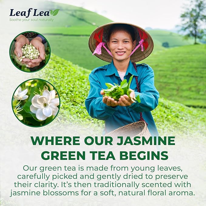 LeafLea 80 Jasmine Green Tea Bags, Green Tea with Natural Jasmine Aroma, Light Focus & Daily Balance, Delicate Floral and Smooth Taste, Caffeinated, Sugar-Free, Non-GMO, Vegan, Individually Wrapped - Bloomnest