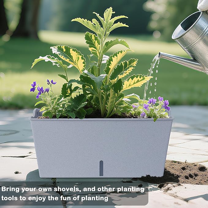 Window Box Planter 6 Pcs, 16.5 Inches Self Watering Rectangle Flower Plant Pots with Drainage Holes Trays, Vegetable Planters for Windowsill Patio Garden Balcony Porch Yard (Grey) - Bloomnest