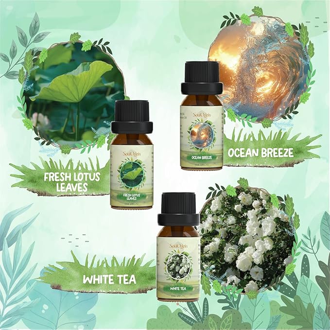 Nature Fragrance Oils Set, Essential Oil Gift Set for Diffuser, Natural Scent Diffuser Oil for Candle Making-Fresh Cut Grass, Mountain Air, Bamboo, Ocean Breeze, Fresh Lotus Leaf, White Tea - Bloomnest
