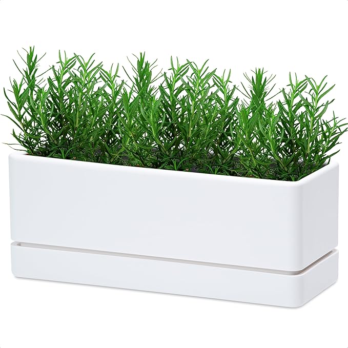D'vine Dev 12 Inch Window Box Planter, Rectangle Plastic Herb Planter with Drainage Holes and Saucer, Indoor Succulent Cactus Vegetable Pot for Windowsill, Garden Balcony, White, Set of 1, 76-X-A-1 - Bloomnest