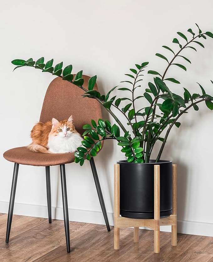 D'vine Dev Ceramic Planter with Natural Stand - 10 Inch Modern Round Flower Pot with Wood Planter Holder, Black, 55-B-K-2 - Bloomnest