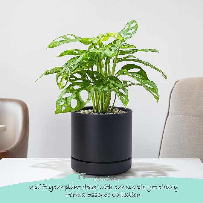 6 Inch Modern Plastic Round Pots for Indoor Houseplants and Herbs, Pack of 3 Planter Pot with Drainage Hole & Saucer, Deep Water Catch Tray, Straight Cylindrical Pot for Plants, Matte Black, 23-D-S-2 - Bloomnest