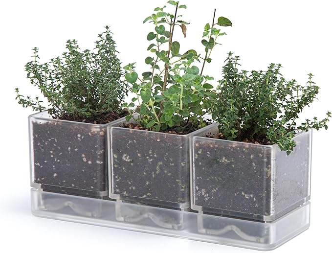 D'vine Dev Herb Garden Planter Set, Plastic Plant Pots with Drainage and Saucer, Indoor Succulent Cactus Vegetable Pot for Windowsill, Garden Balcony, Clear, Set of 1, 76-V-D-1 - Bloomnest