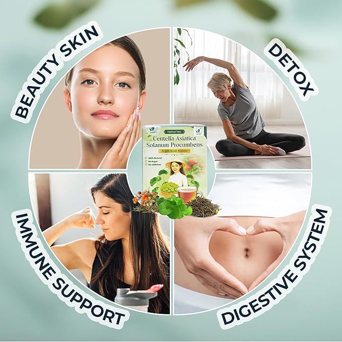 NMPT Dried Centella Asiatica Solanum Procumbens Tea, Handpicked and Handmade, 40 Sachets, Cold-Dried, Gluten-Free, No Added Sugar, Mild Sweet Flavor, Supports Overall Health - Bloomnest