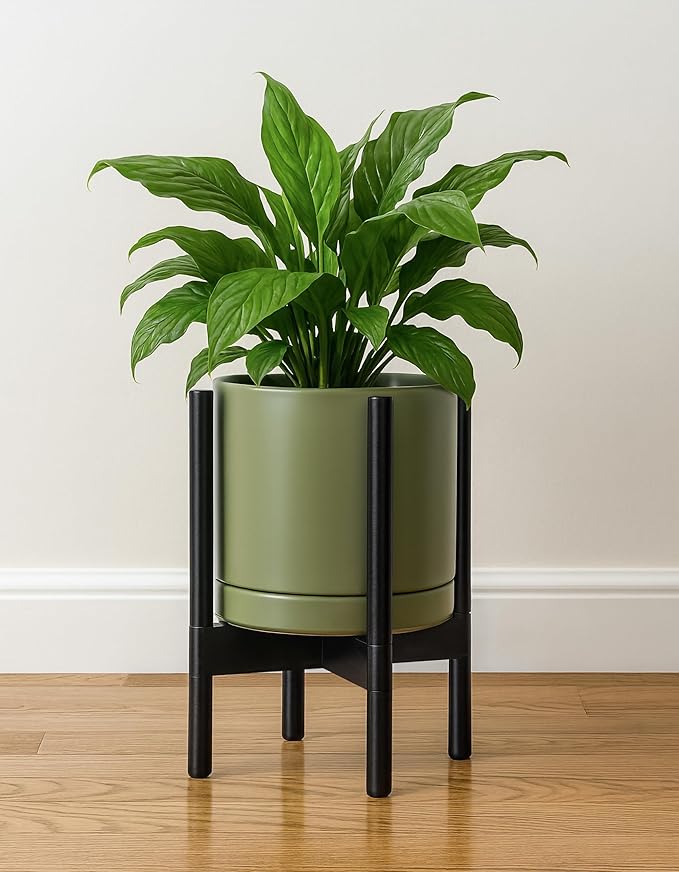 D'vine Dev Ceramic Planter with Ebony Stand - 10 Inch Modern Round Flower Pot with Wood Planter Holder, Olive, 55-B-L-J - Bloomnest