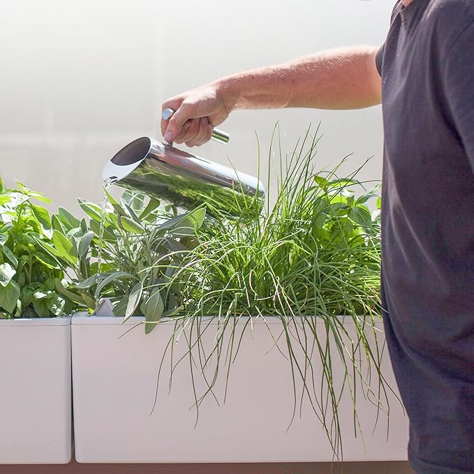 Glowpear Self Watering Planter Box - 23.6", White - UV Stable, Scalable Wall Mounts Plant Pot with Water Gauge, Indoor Outdoor for Vegetables, Flowers, Herbs, and Succulents, Gardening - Bloomnest