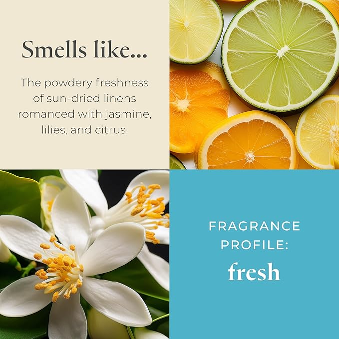 PartyLite Tea Lights Candles, Crisp Linens with Jasmine and Lily Scent, Gift Set of 12, Aromatherapy with up to 4 to 6 Hours Burn Time, Ideal for Home Decor, Holiday Gifting & Celebration - Bloomnest