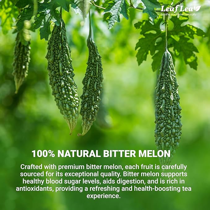 LeafLea 120 Bitter Melon Tea Bags, 100% Pure Bitter Melon Fruit. Supports Wellness and Digestion | Caffeine-Free, Sugar-Free, Vegan, Pack of 3 - Bloomnest