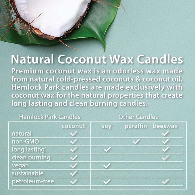 Hemlock Park Crackling Wood Wick Candle Handcrafted with Natural Coconut Wax (Standard 8 oz, Palo Santo) - Bloomnest