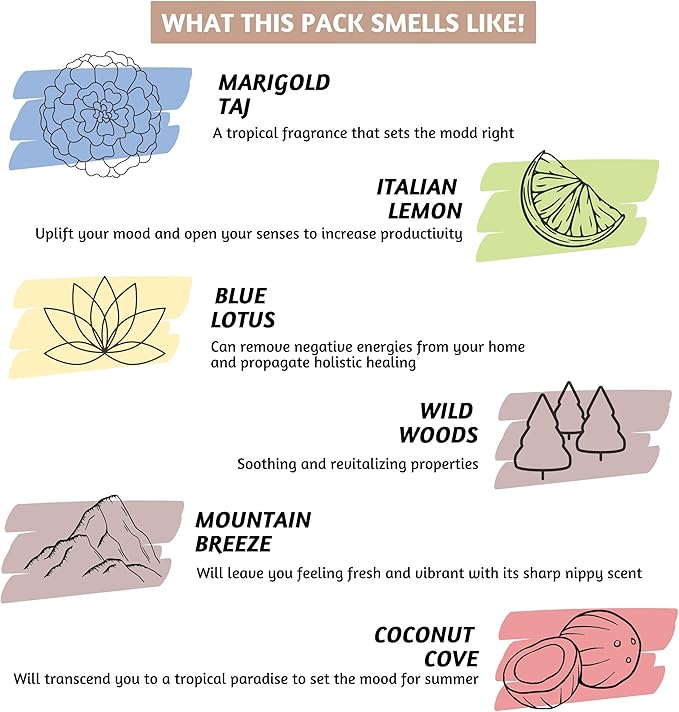 Folkulture Incense Sticks (240 Sticks) | Set of 12 Premium Incense Sticks Variety Pack Aromatherapy Gifts | No Charcoal, Organic, Non Toxic, 45 Mins, Long Burning Vanilla, Caramel, Rose Insence-Sticks FOLKULTURE