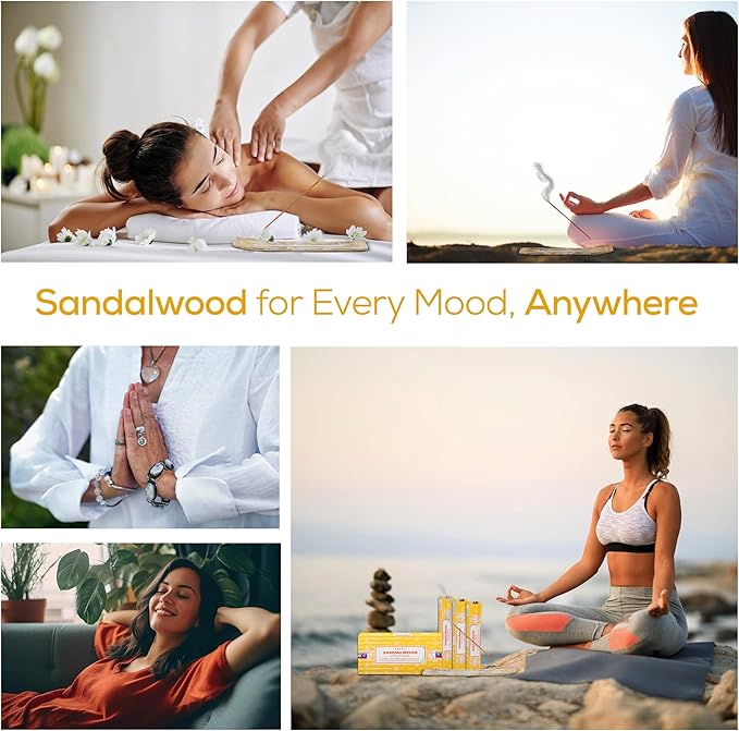 Satya Sandalwood Incense Sticks, Satya Bng Insens 15gmx12 Pack with Raajsee Insence Holder Bundle, Satya Nagchampa Natural Incence - Bloomnest