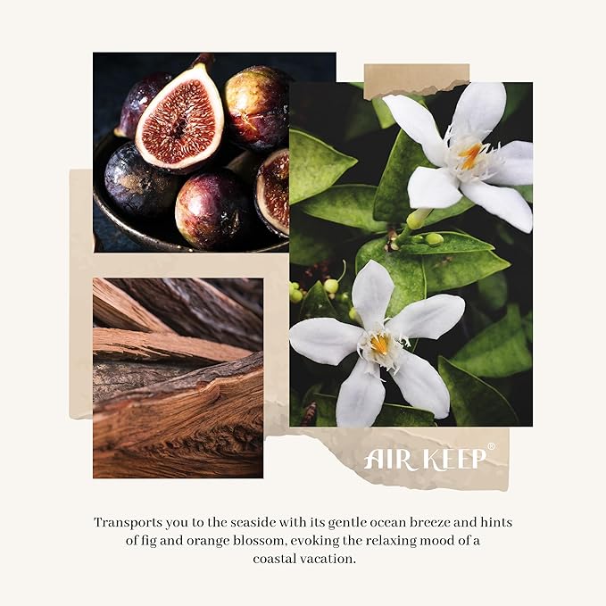 Airkeep Reed Diffuser Set,3.38 fl oz (100 ml) - Ocean Mist&Sea Salt Oil Diffusers with 8 Reed Sticks,Home Fragrance Reed Diffuser for Bathroom Shelf Decor