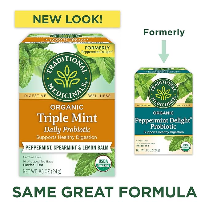 Traditional Medicinals Tea, Organic Rose Hips & Hibiscus - Supports Everyday Wellness - Kosher, Non-GMO, Caffeine-Free - 16 Tea Bags (Pack of 2) - Bloomnest