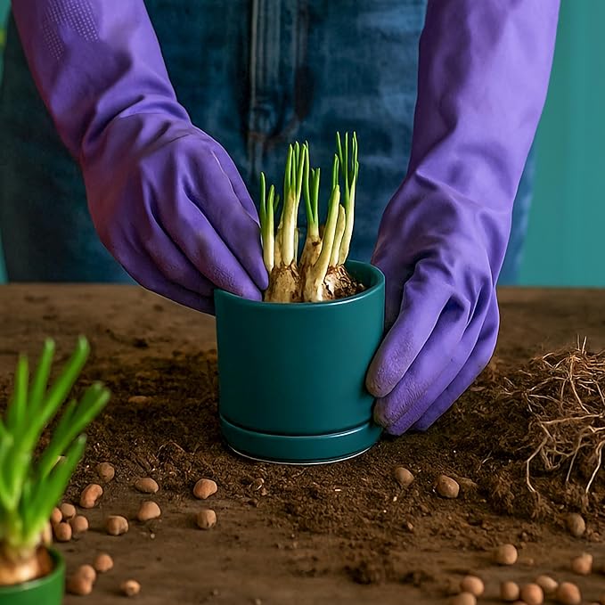 D'vine Dev Set of 2 Plants Pots, 3.5 Inch Ceramic Planter Pot for Plants with Drainage Hole and Saucer, Teal, 94-V-A-9 - Bloomnest