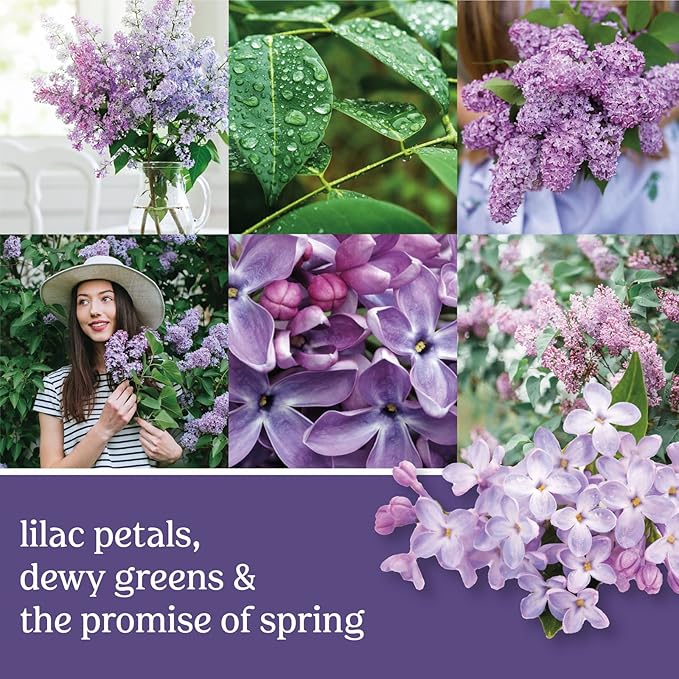 Yankee Candle Lilac Blossoms Scented Classic 22oz Large Jar Single Wick Candle Over 110 Hours of Burn Time Perfect for Gifting Gatherings and Seasonal Decorations - Bloomnest
