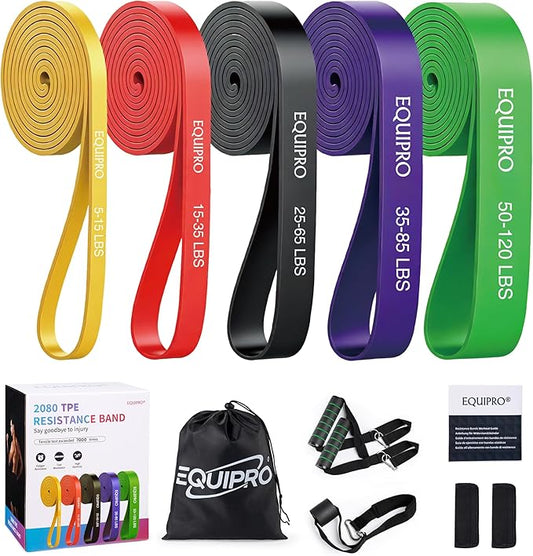 Resistance Bands, Exercise Bands, Resistance Bands for Working Out with Handles and Door Anchor, Workout Bands for Men Women with Protective Sleeve for Fitness Weights Work Out at Home - Bloomnest