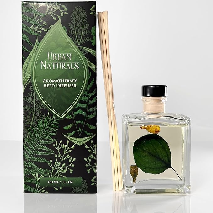 Urban Naturals Sandalwood & Eucalyptus Reed Diffuser Set – Made with Essential Oils & Real Botanicals – Sleek Rectangular Refillable Glass Bottle – Made in the USA UrbanNaturals