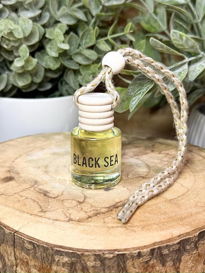 Black Sea Scent Hanging Car Air Freshener – Long Lasting Essential Oil Diffuser for Car, Closet, Bathroom – 2-Pack Natural Scent Deodorizer - Bloomnest
