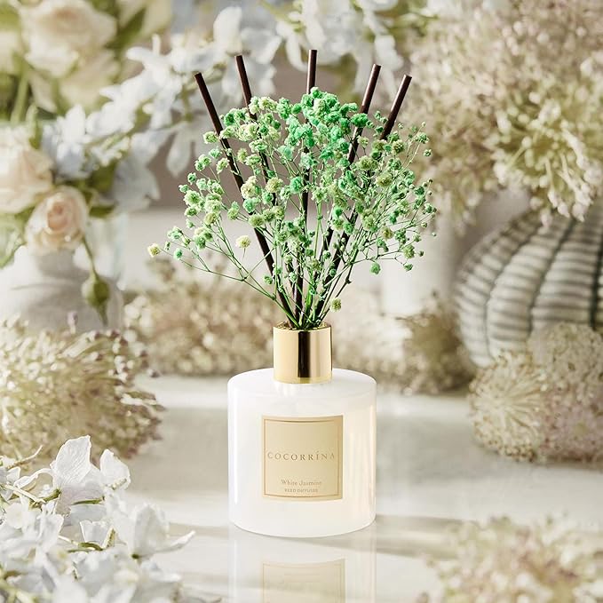 COCORRÍNA Reed Diffuser - White Jasmine 6.7 Fl.oz Reed Diffuser Set with Sticks & Preserved Baby's Breath, Reed Diffuser for Home Bathroom Shelf Decor - Bloomnest