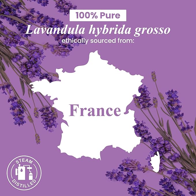 Handcraft Blends Lavender Essential Oil in Glass Bottle – Huge 16 Fl Oz – 100% Pure and Natural – Premium Grade Oil for Diffuser and Aromatherapy, Skin, Massage, Candle and Soap Making Fragrance - Bloomnest