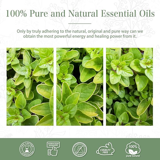 Oregano 3.38fl.oz Essential Oil, PHATOIL Pure Aromatherapy Oils for Diffuser, Humidifier, Perfect for DIY Soap, Candle, Bath Bombs Making(100ml) - Bloomnest