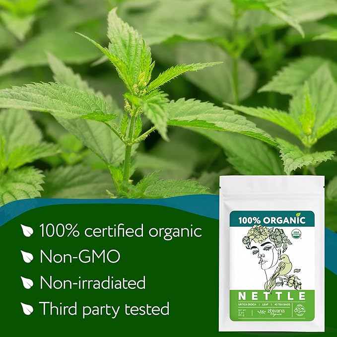 Nettle Tea Organic (40 Tea Bags) - Stinging Nettle Leaf TeaBags – Ortiga Tea for Optimal Health, Immune Support, Kidney - Te de Ortiga Organico Natural - Bloomnest