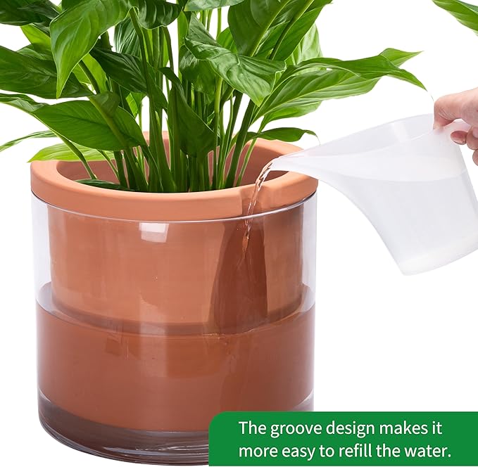 Phoenix Vine 10 Inch Self Watering Planter, White Terracotta Pot for Plants, Indoor Cylinder Terra Cotta Pot with Glass Vase - Bloomnest