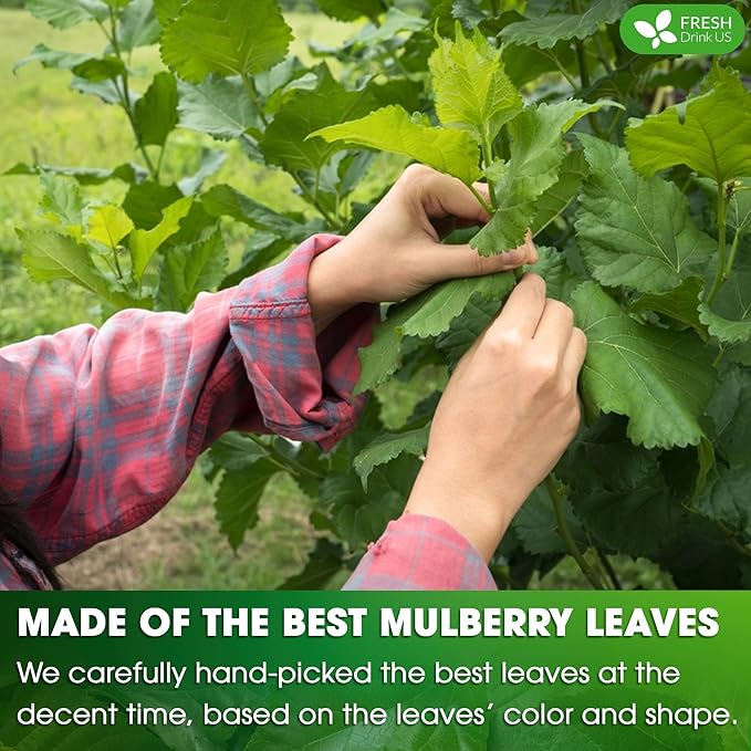 FreshDrinkUS, Permium 2oz Mulberry Leaves, 100% Natural & Pure from Mulberry Leaves, Mulberry Leaf Tea, Mulberry Loose Leaf Herbal Tea, No Additives, No Caffeine, Vegan - Bloomnest