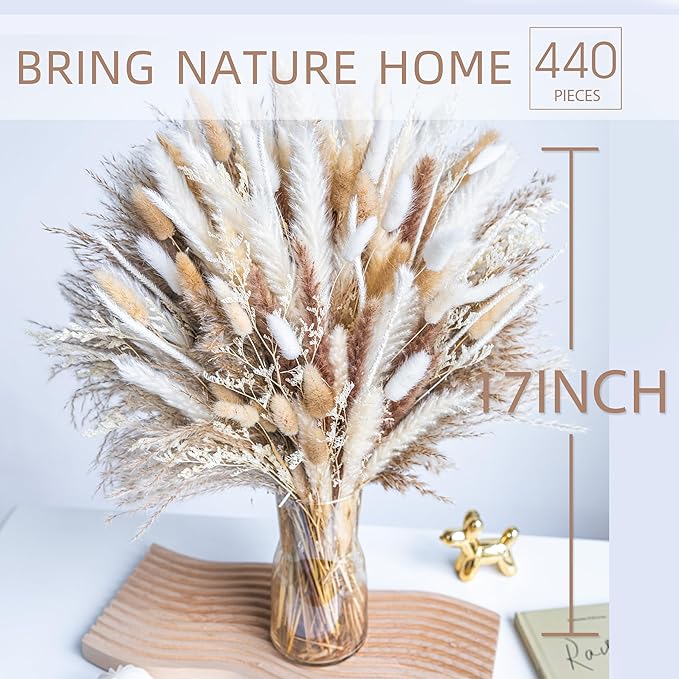 440PCS Natural Dried Pampas Grass Boho Home Decor Bouquet Phragmites Dried Flowers Bouquet for Wedding Floral Arrangements Home Decorations (440PCS) - Bloomnest
