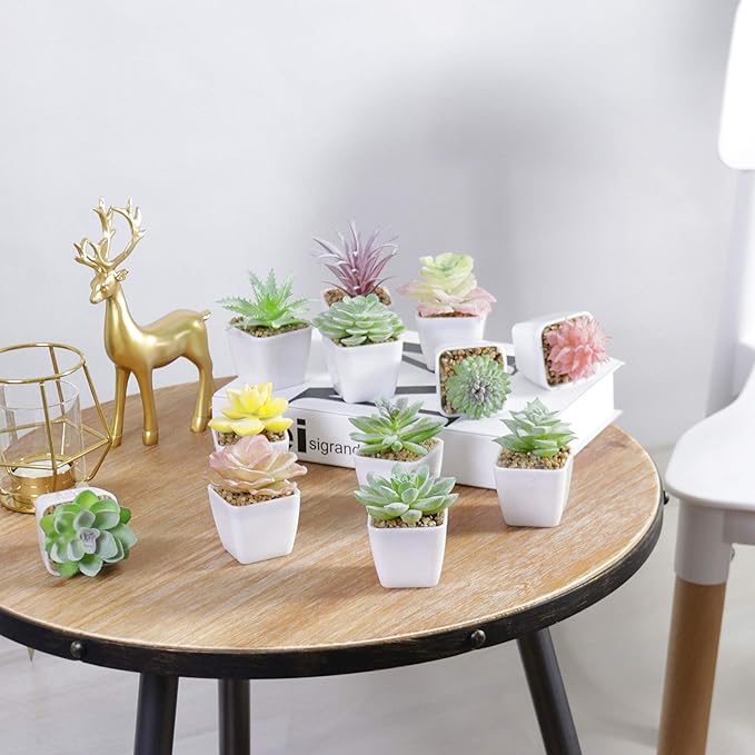 Tiita Artificial Faux Succulents in Pots Fake Plants Plastic Arrangement Planter Small Mini Tiny Decoration for Home Office Desk Window Sill Bathroom Bedroom Outdoor Indoor 12 Set - Bloomnest