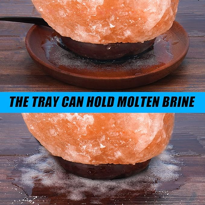 2 Pack Salt Lamp Cord Replacement with 2 Pack Wooden Tray and 8 Pack E12 Halogen Salt Lamp Bulbs