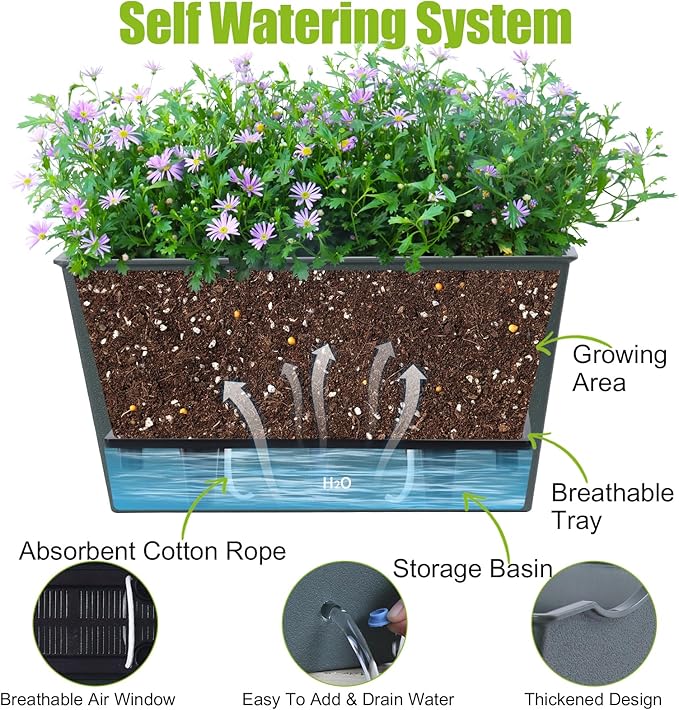 Window Box Planter 6 Pcs, 12.6 Inches Self Watering Rectangle Flower Plant Pots with Drainage Holes & Breathable Trays, Vegetable Planters for Windowsill Patio Garden Balcony Porch Yard (Dark Green) - Bloomnest