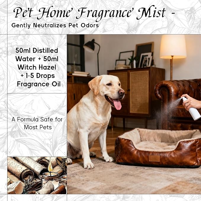 HIQILI Leather Fragrance Oil, Men's Scent, for Car Air Freshener Use, Soap, Candle, and Long-Lasting Perfume Making - 5.07 Fl Oz - Bloomnest