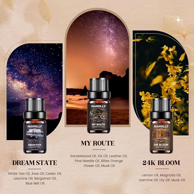 Hotel Diffuser Oils Gift Set - 6x10ML Luxury Hotel Scent Essential Oils Set for Diffuser, Candle Making - My Route, Serene Coast, Night Velvet, 24K Bloom, Dream State, After Warmth Fragrance Oil - Bloomnest