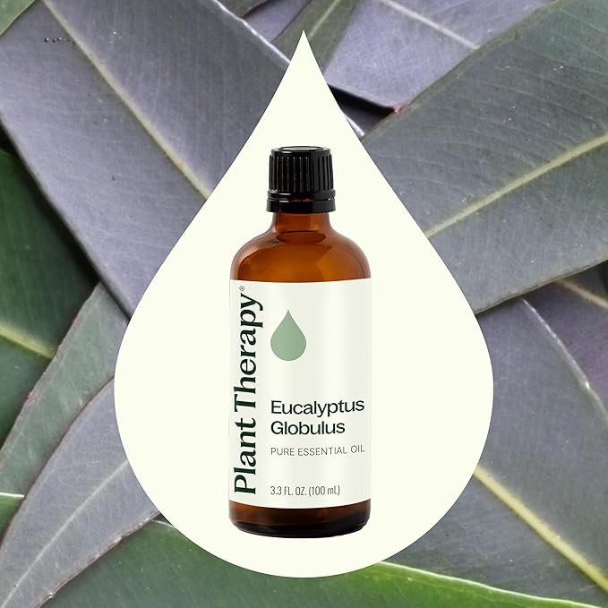 Plant Therapy Eucalyptus Globulus Essential Oil 100 mL (3.3 oz) for Diffuser, Skin, Hair, Aromatherapy DIYs, and Clear Breathing, 100% Pure, Undiluted, Therapeutic Grade - Bloomnest